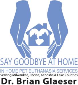 euthanasia pet goodbye say compassionate pets care end life
