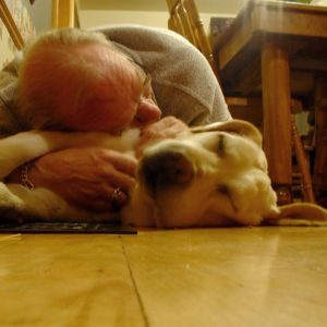 Pet euthanasia at home